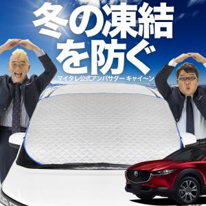 新発売 CX-30 DMEP/DM8P/DMFP型 DMEP DM8P DMFP フロント ガラス 凍結防止 カバー シート サンシェード 日除け 雪 霜 01