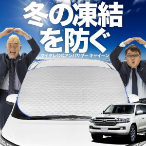 新発売 ハイエース 200系 ワイド ワゴンGL フロント ガラス 凍結防止