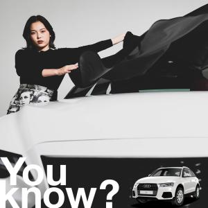 AUDI / アウディ 純正アクセサリー サンシェード サイズ大 J0ADB8G04