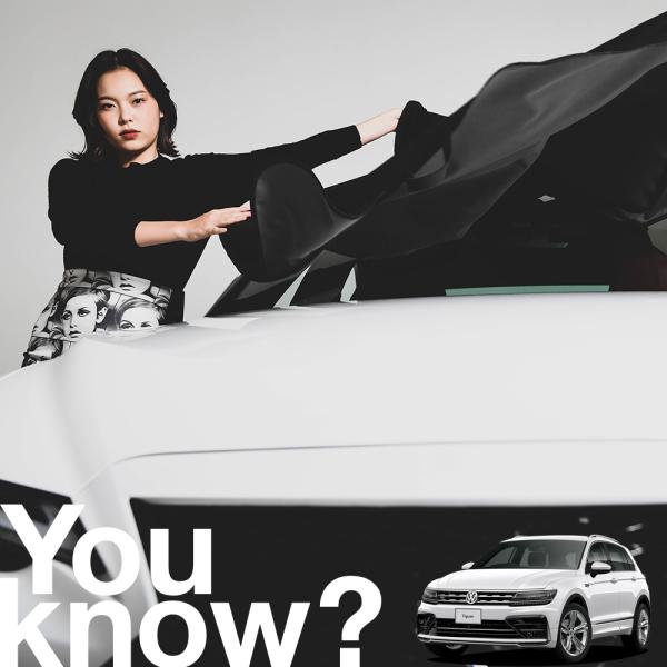 ティグアン AD1 TIGUAN Volkswagen VW 高級 フロント ガラス カバー 凍結防...