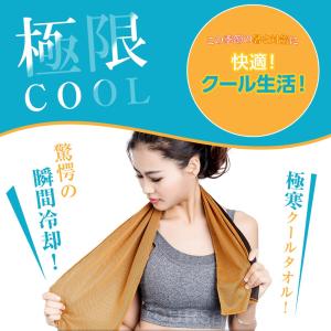 【おまけで3枚追加!合計5枚!】 クールタオル...の詳細画像1