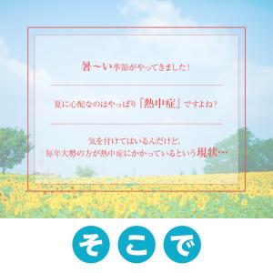 【おまけで3枚追加!合計5枚!】 クールタオル...の詳細画像3