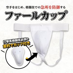 空手 ファールカップ 金的 サポーター カップ...の詳細画像1