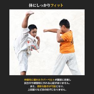 空手 ファールカップ 金的 サポーター カップ...の詳細画像4