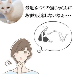 猫 おもちゃ LED ポインター 猫じゃらし ...の詳細画像1