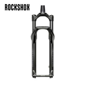 ROCKSHOX/ロックショックス JUDY シルバー 29 9mm QR 1-1/8 100mm