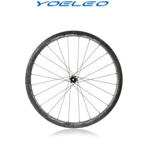 YOELEO ヨーレオ QianKun チエンクン CS50 スルーアクスル ディスク