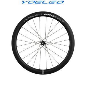 YOELEO ヨーレオ QianKun チエンクン CS50 スルーアクスル ディスク