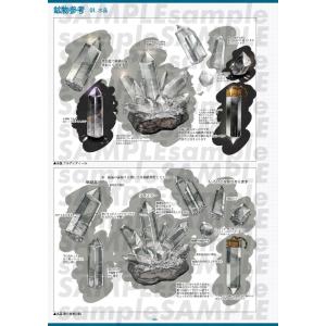 瑠璃の宝石 設定資料集 公式グッズ 公式資料集の詳細画像2