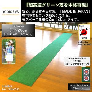 【アウトレット(ホールターゲット無し)】ゴルフ...の詳細画像1