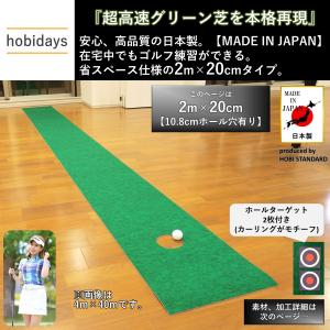 【アウトレット(ホールターゲット無し)】ゴルフ...の詳細画像2