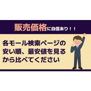 極少量入荷 サンスター文具 正規品 TWICE...の詳細画像1