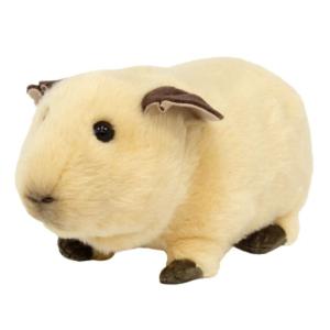 レンデール モルモットのダフネ DAPHNE ジュニアサイズ ぬいぐるみ