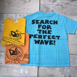 【SALE25％OFF】TES VINTAGE GRAPHIC PIGMENT TEE（BUHI ブヒ　サーフボード　サーフィン カリフォルニア　テス　半袖　　THE ENDLESS SUMMER）