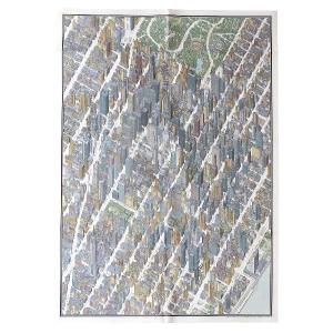 鳥瞰図 バーズアイマップ BIRDS EYE ...の詳細画像3