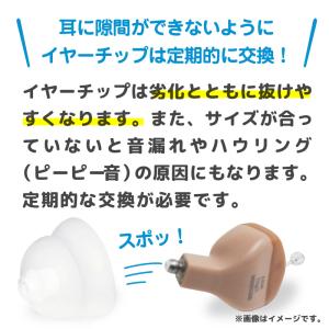 signia シグニア 補聴器 交換用耳栓 同...の詳細画像2