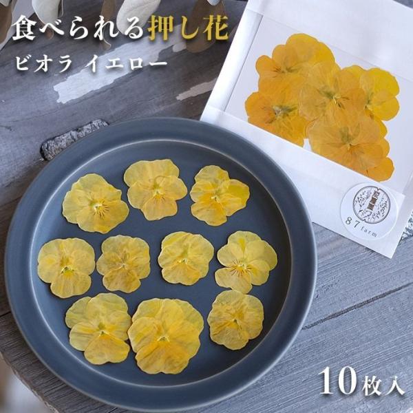 エディブルフラワー ドライ 食用花 食べられる 花 ビオラ イエロー 10枚入 誕生日 プレゼント ...