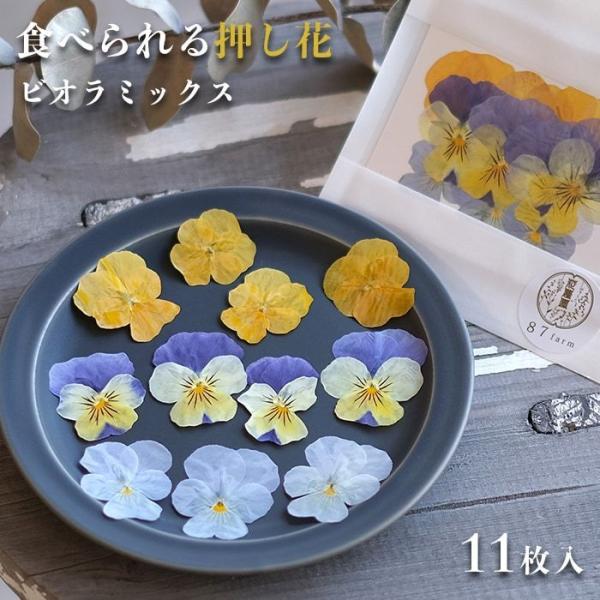 エディブルフラワー 食用花 送料無料 ポイント消化 ビオラ ミックス 1000円ポッキリ ドライ 食...