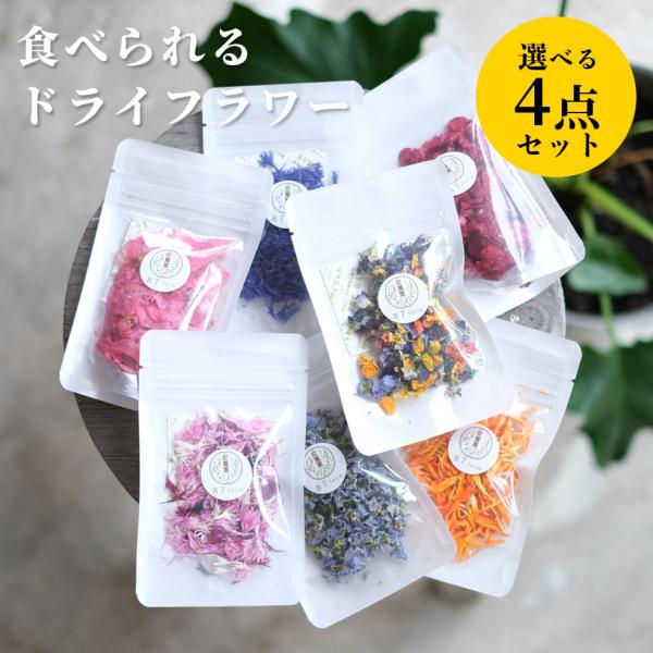 エディブルフラワー ドライ 食用花 選べる4点セット 食べられる花 ドライフラワー 食べれる花 ビオ...