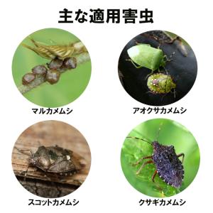 あすつく カメムシ対策 カメムシコロパー 42...の詳細画像1