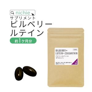 NIKKEN 久留米大学医学部 開発技術 アポラクトフェリン アルファ