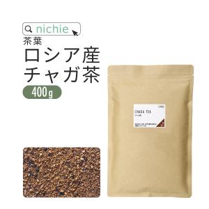 ヒロリンさん専用 自然回帰水 GOLD21 500ml 12本セット 1ケース