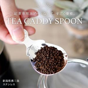 紅茶サーバー ティーキャディースプーン 茶さじ...の詳細画像1