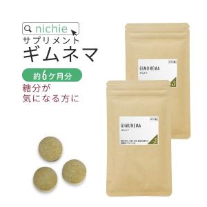 ギムネマ サプリメント 540粒（ギムネマシルベスタ ギムネマ茶 supplement）