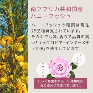 オーガニック ハニーブッシュティー ティーバッ...の詳細画像3