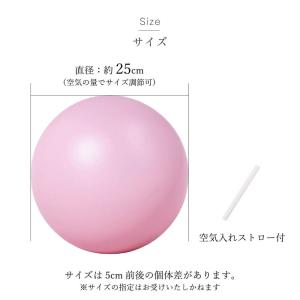 ヨガボール エクササイズ 鍛える ピラティスボ...の詳細画像4