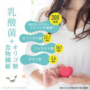 数量限定 乳酸菌 オリゴ糖 食物繊維 サプリメント 270粒（ビフィズス菌 アシスト乳酸菌 難消化性デキストリン supplement）