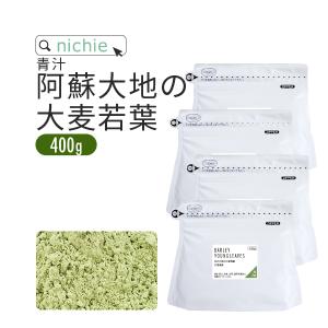 青汁 大麦若葉 大麦若葉青汁 国産 400g(100g×4袋) 熊本県産 新鮮な 大麦若葉 加工 粉末にした 甘味料・着色料・保存料不使用 青汁