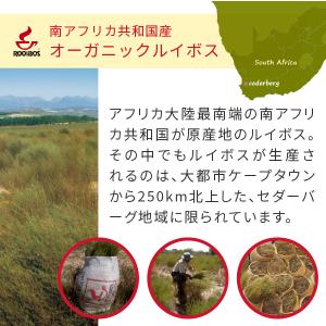 ルイボスティー オーガニック パック レッドマ...の詳細画像4