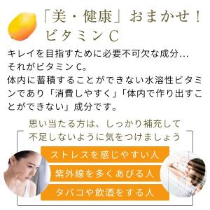 ビタミンcパウダー サプリメント 950g(ア...の詳細画像2
