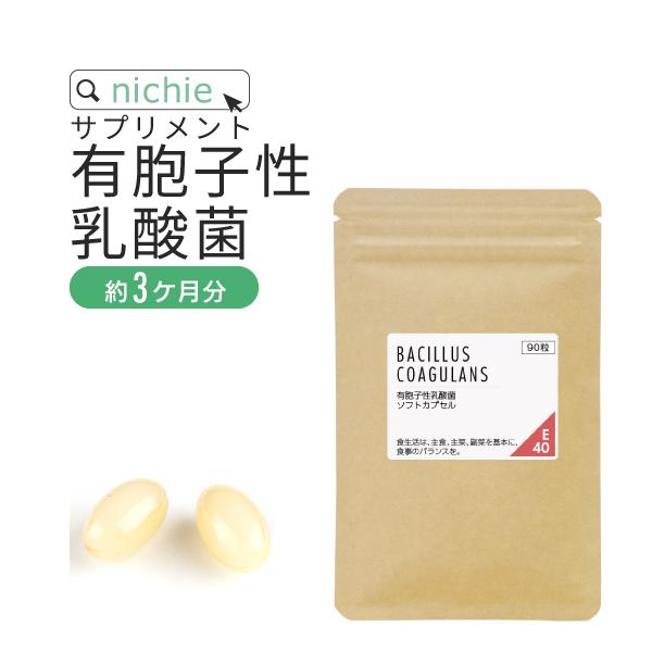 有胞子性 乳酸菌 サプリ 90粒（約3ヶ月分） 乳酸菌生産物質 ビフィズス菌 も配合！生きて届く 有...