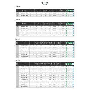 ヨコハマタイヤ ブルーアース RV-03 20...の詳細画像3