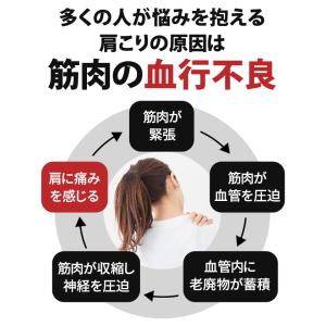 【ポイント10倍 認定代理店】 コラントッテ ...の詳細画像4