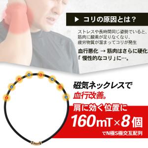 【ポイント10倍 認定代理店】 コラントッテ ...の詳細画像5