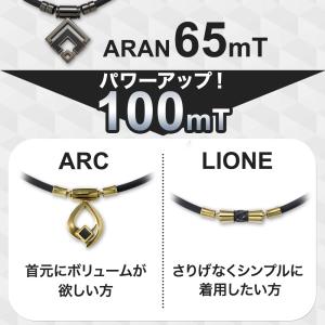コラントッテ 磁気ネックレス TAO LION...の詳細画像3