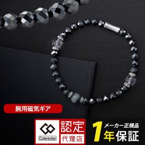 RAKUWA ファイテン ブレスレット X100 レザータッチモデル : 磁気