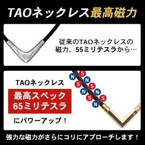 コラントッテ TAOネックレス α VEGA ...の詳細画像2