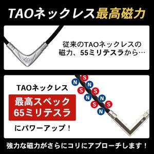 コラントッテ TAOネックレス α VEGA ...の詳細画像2