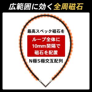 コラントッテ TAOネックレス α VEGA ...の詳細画像3