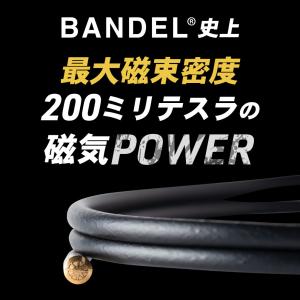 バンデル 磁気ネックレス ヘルスケア フィット...の詳細画像2