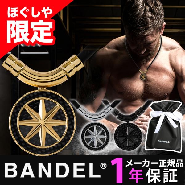 磁気ネックレス バンデル ネックレス メンズ レディース 医療機器 プレゼント ギフト スポーツ ア...
