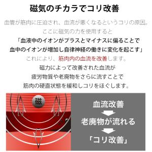 バンデル 磁気ネックレス アース ヘルスケア ...の詳細画像2