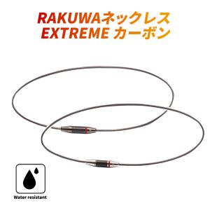 phiten RAKUWAネックレス EXTR...の詳細画像1