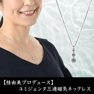 RAKUWA ファイテン ネック X100 カーボン シルバー サイズ50cm