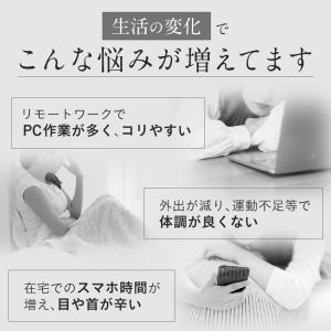 磁気ネックレス 女性用 おしゃれ 大人の癒し ...の詳細画像3