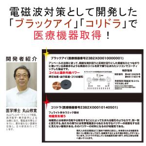 ZAAP ザップ プレミアムネックレス 電磁波...の詳細画像5